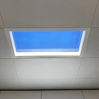 Plafonnier LED encastré fin SUEZ en aluminium naturel pour chambre à coucher, panneau de lumière artificielle pour ciel ouvert