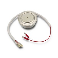 Module Thyristor Scr de puissance IP147-3176 3500A 2500V Module de diode Thyristor Module de pont redresseur