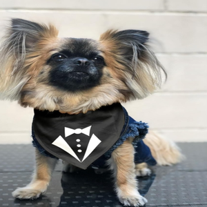 Bandana pour chien ajustable unisexe, mouchoir triangle, bavoir jaune imprimé «Born Run», accessoire de vêtements pour animaux de compagnie lavable et mignon - Product Image 5