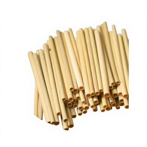 Pailles à boire en bambou naturel de haute qualité DISPONIBLES |   Pailles en bambou artisanales du Vietnam - Product Image 1
