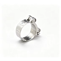 Serre-tuyau robuste en acier inoxydable KEYFOSS, style européen, renforcé, modèle 201, entièrement en acier, diamètre intérieur max. 19 mm
