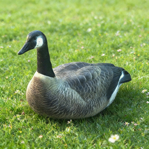 Señuelo de Ganso Impreso con UV Directo de Fábrica, Atractor Visual Estático 3D con Soporte Metálico para <span class=keywords><strong>Caza</strong></span> de Aves Acuáticas al Aire Libre - Product Image 3