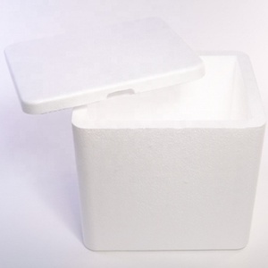 Bán buôn kích cỡ khác nhau làm mát bọt cách điện hộp vận chuyển hộp xốp lớn để đóng gói - Product Image 4