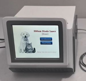 Laser hewan peliharaan 980nm fisioterapi Laser dioda untuk terapi hewan anjing kucing kuda mesin penghilang nyeri - Product Image 2