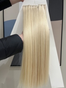 <span class=keywords><strong>Alano</strong></span> Thin Invisible Double Drawn Russian Genius Weft Extensiones de cabello #60 Rubio Colorido Extensión de cabello de trama plana - Product Image 3