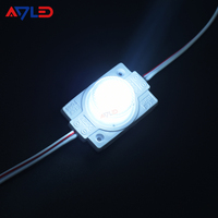 Module LED d'injection haute puissance 1.5W 12V DC 45x15 ° pour la publicité Lightbox IP65 Edge Lighting LED Module Light