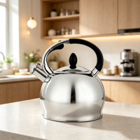 Bouilloire sifflante en acier inoxydable pour cuisinière domestique