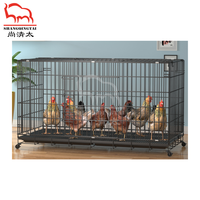 Poulailler Shang Qing Tai avec grande porte, caméra et structure métallique pour l'élevage de poulets de petite à grande échelle, adapté à 1-2 poulets