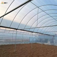 Film de serre à 7 couches d'isolation thermique, film diffuseur résistant aux UV, anti-goutte, en plastique, pour la culture de fruits et légumes