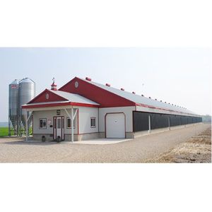 Giá Rẻ Sơn Đông Trứng Gà Coop <span class=keywords><strong>Prefab</strong></span> 1000m2 Lớn Khoảng Gia Cầm Nhà Bò Sữa Gia Súc Nhà Thép Cấu Trúc Cho Gà Trang Trại - Product Image 6