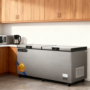 Congelatore a Pozzetto Personalizzato in Acciaio Inox a 2 Porte, <span class=keywords><strong>Frigorifero</strong></span> Commerciale <span class=keywords><strong>Orizzontale</strong></span> a Doppia Temperatura per Casa - Product Image 1