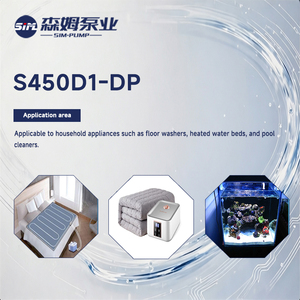 ปั๊มแรงเหวี่ยง 22PSI จากโรงงานโดยตรง ออกแบบอย่างเหมาะสมสำหรับการถ่ายโอนน้ำอย่างเสถียรสำหรับเครื่องทำความร้อน S450D1-DP ทางเรามีประสบการณ์ในการผลิต - Product Image 4