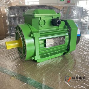 15 KW 6 cực 960 vòng/phút <span class=keywords><strong>rpm</strong></span> <span class=keywords><strong>rpm</strong></span> thấp Máy phát điện alternator ba-giai đoạn cảm ứng điện 3 động cơ - Product Image 3