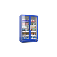 Refrigerador Comercial de Doble Puerta con Color Personalizado, Refrigerador con Compresor de Bajo Consumo y Panel de Temperatura Digital
