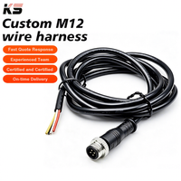 Conector de Sensor Inductivo M12 de 2 y 4 Pines, Macho y Hembra, Impermeable, para Batería, Proximidad, Cable, Enchufe