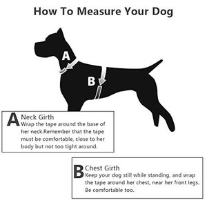 Kedatangan Baru Logo Kustom Tanpa Tarikan Besar Kulit Asli Harness untuk Anjing - Product Image 3