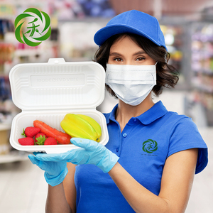 Trọng lượng nhẹ 9*5 đơn di động thiết kế thân thiện với môi trường tinh bột ngô dùng một lần đồ ăn Bộ đồ ăn phân hủy môi trường Hot Dog - Product Image 1