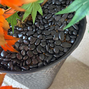 Gepolijste Gepolijste Kiezelsteen Zwart Gepolijste Rivierkiezels Voor Landschapsarchitectuur - Product Image 4