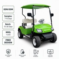 Carrito de Golf para 2 Pasajeros, Neumático 205/50-10, Vehículo Eléctrico de 60V para Turismo, Transporte en Resorts y Campos de Golf, Color Personalizado OEM