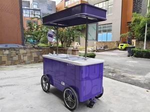 Mini-chariot mobile de vente de desserts glacés pour parcs et plages – Remorque alimentaire pour entreprise de restauration - Product Image 2