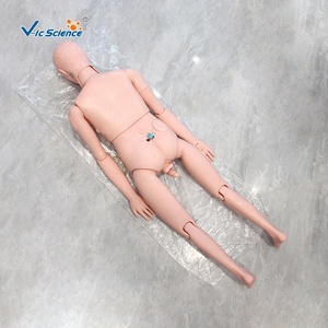 หุ่นจำลองการพยาบาลชายขั้นสูง 22 ขั้นตอนการพยาบาล ฝึกการเจาะ/ใส่สายสวน/<span class=keywords><strong>ป</strong></span>ฐมพยาบาล/<span class=keywords><strong>การ</strong></span>กดทับถุงลม<span class=keywords><strong>ป</strong></span>อด/สวนทวาร สำหรับ<span class=keywords><strong>การ</strong></span>เรียนการ<span class=keywords><strong>สอน</strong></span> - Product Image 5