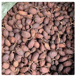 Poudre de cardamome noire Extrait de graine de cardamome naturel pur Poudre de cardamome - Product Image 4