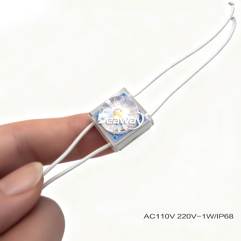 AC 110V / 220V Diffuse Reflection Lossless Module 1W 1LEDs Outdoor ...