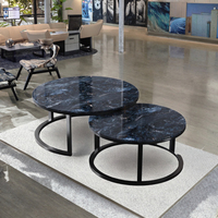 Styles populaires, table basse en métal deux pièces, design rond moderne, table de réception de bureau, meubles de maison