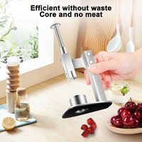 Décortiqueur de dattes rouges en acier inoxydable, outil portable pour retirer les noyaux de cerises et d'olives, décortiqueur de fruits