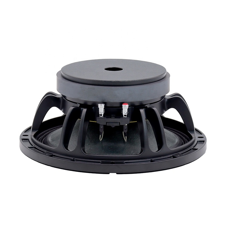Professional Audio Accessories 10 Inch Woofers