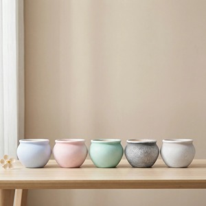 Macetas de Cerámica para Suculentas, Macetas para Plantas, Adornos de Jardín, Interior y Exterior, Precio al por Mayor, Diseño - Product Image 2