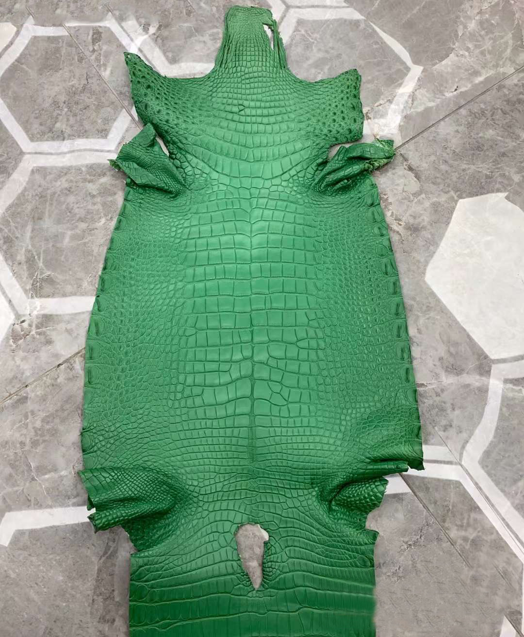 Vert forêt