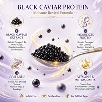 ALAPEX Kit Thérapie Revitalisante Hydratante au Caviar Noir 4-en-1 – Restauration Profonde aux Acides Aminés pour Cheveux Fortement Abîmés – Qualité Salon