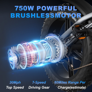 JANSNO X50 48V 750W 1000W Electric Bicycle Electric <b>Bike</b> Fatbike <b>Fat</b> <b>Bike</b> for Adult - Product Image 5