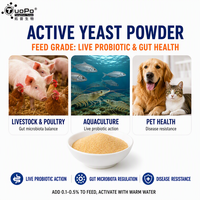 Poudre de levure active de qualité alimentaire, probiotique vivant pour améliorer l'environnement intestinal des porcs, de la volaille et des ruminants