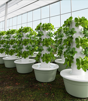 Tour Aérophonique, Système de Culture Vertical Hydroponique pour Légumes d'Intérieur