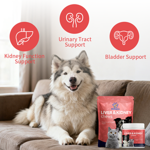 Supplément de rein de foie canin d'approvisionnement d'usine Rehmannia + Chardon-Marie à mâcher, soutien de la santé du foie et des reins, en vrac et de marque privée - Product Image 3