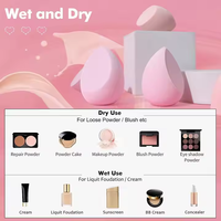 Ms.miau Éponge de maquillage personnalisée haute densité, sans latex, douce, écologique, pour le maquillage liquide et crème, finition professionnelle, lavable