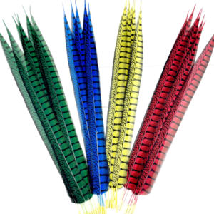 Buatan tangan dicelup wanita buatan Amherst Pheasant ekor bulu pola mentah alami untuk penggunaan dekoratif dalam kostum pesta karnaval - Product Image 1