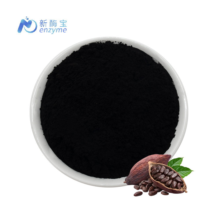 Novenzyme Supply Wholesale Price 25kg Pack Bulk Dark Cocoa Powder Alkalized Raw Black Cocoa Powder