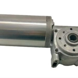 12V/24V Small Smart Brush Induction Door Opening Motor <b>Speed</b> <b>Control</b> Electric European-style Hollow Worm Gear DC Micro Motor - Product Image 2
