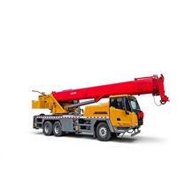 Yeni Kaldırma Makineleri 25 Ton ve 49.5m Kamyon Vinci STC250C5-1 STC250C5-1 Val Belediye Kamu İnşaatları İçin