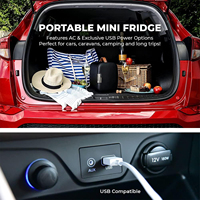 Mini réfrigérateur portable, petit réfrigérateur 4L 12V 220V, réfrigérateur cosmétique pour la maison, la voiture, mini réfrigérateur pour hôtel, mini bar