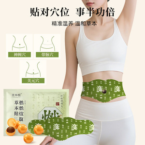 Patch <span class=keywords><strong>Minceur</strong></span> Naturel aux Herbes pour Brûler la Graisse Abdominale et la Graisse du Ventre, Perte de Poids, 5 Pièces 46*16cm - Product Image 3
