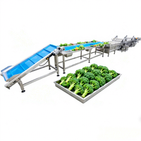 OEM/ODM Baiyu commerciële groente- en fruitverwerkingslijn motor sojameel op maat gemaakte apparatuur voedselveilige roestvrij staal
