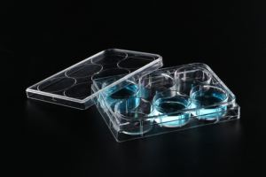 Materiali di consumo per esperimenti di coltura biologica ad alta chiarezza coperchio opzionale 96 piastra di coltura di cellule del tessuto - Product Image 6