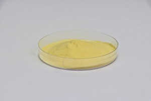 Bacillus Coagulans en Polvo Liofilizado |   Un probiótico altamente activo que forma esporas, el "regulador del equilibrio" para la <span class=keywords><strong>flora</strong></span> <span class=keywords><strong>intestinal</strong></span> - Product Image 3