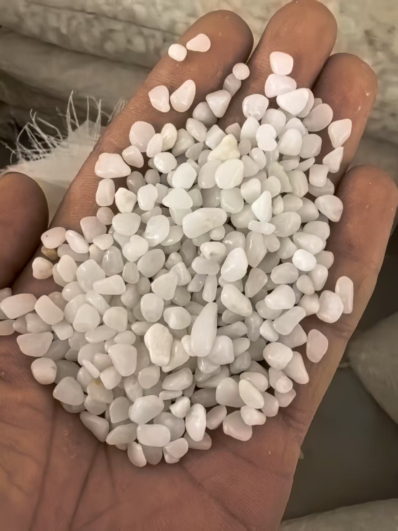 Blanco
