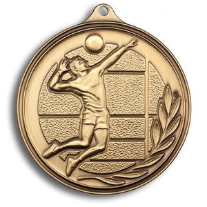 Liste de promotion personnalisée pas cher prix sportif en laiton médailles de baseball volley-ball trophées plaques - Product Image 2