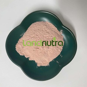 100% frutta naturale 17% 25% vitamine per uso alimentare estratto di ciliegia Acerola in polvere - Product Image 3